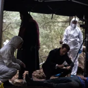 Ellis - galeria zdjęć - filmweb