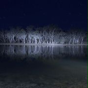 Lake Mungo - galeria zdjęć - filmweb