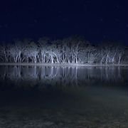Lake Mungo - galeria zdjęć - filmweb