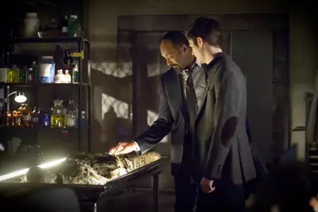 Flash - galeria zdjęć - filmweb
