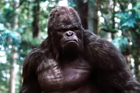 Flash - galeria zdjęć - filmweb