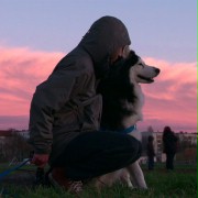 Dogs - galeria zdjęć - filmweb