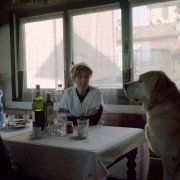 Dogs - galeria zdjęć - filmweb