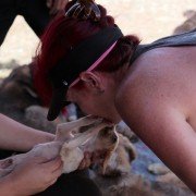 Dogs - galeria zdjęć - filmweb