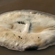 Big River Man - galeria zdjęć - filmweb