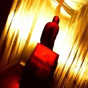 The Collector - galeria zdjęć - filmweb