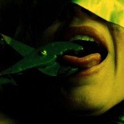 The Collector - galeria zdjęć - filmweb