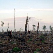 Lore - galeria zdjęć - filmweb