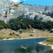 On the Milky Road - galeria zdjęć - filmweb