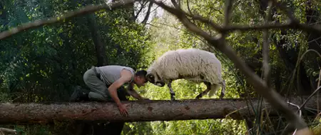 Na mlecznej drodze - galeria zdjęć - filmweb