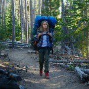 Wild - galeria zdjęć - filmweb