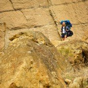 Wild - galeria zdjęć - filmweb