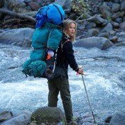 Wild - galeria zdjęć - filmweb