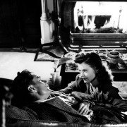 Ludzie-koty - galeria zdjęć - filmweb