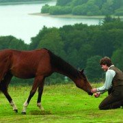 War Horse - galeria zdjęć - filmweb