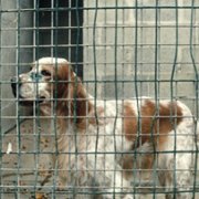 Vincent doit mourir - galeria zdjęć - filmweb