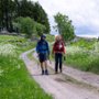 Camino dla opornych - galeria zdjęć