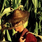 Chat gim - galeria zdjęć - filmweb