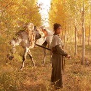 Chat gim - galeria zdjęć - filmweb