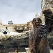 Behind the Attraction - galeria zdjęć - filmweb