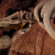 Sekrety Parków Disneya - galeria zdjęć - filmweb