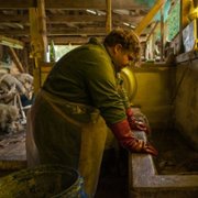 Nikt nie wie, że tu jestem - galeria zdjęć - filmweb