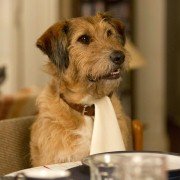 Absolutely Anything - galeria zdjęć - filmweb