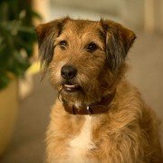Absolutely Anything - galeria zdjęć - filmweb