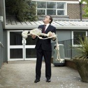 Absolutely Anything - galeria zdjęć - filmweb
