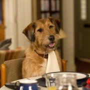 Absolutely Anything - galeria zdjęć - filmweb