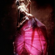 The Dark Crystal - galeria zdjęć - filmweb