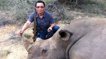 The Great Rhino Robbery - galeria zdjęć - filmweb