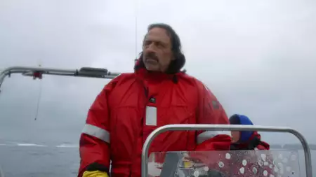 Blackfish - galeria zdjęć - filmweb