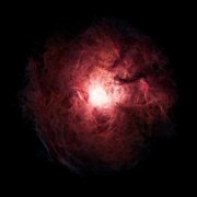 Evolver - galeria zdjęć - filmweb