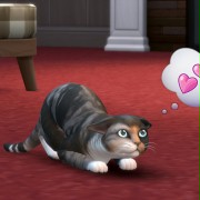 The Sims 4: Psy i koty - galeria zdjęć - filmweb