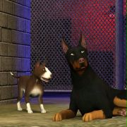 The Sims 3: Pets - galeria zdjęć - filmweb