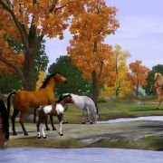 The Sims 3: Pets - galeria zdjęć - filmweb