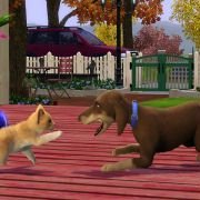 The Sims 3: Pets - galeria zdjęć - filmweb