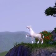 The Sims 3: Pets - galeria zdjęć - filmweb