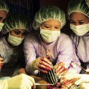 Anatomie 2 - galeria zdjęć - filmweb