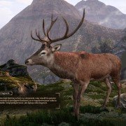 The Bard's Tale IV: Barrows Deep - galeria zdjęć - filmweb