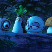 Penguins of Madagascar - galeria zdjęć - filmweb
