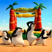 Penguins of Madagascar - galeria zdjęć - filmweb