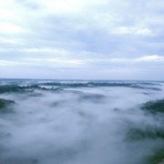 Klątwa obfitości - galeria zdjęć - filmweb