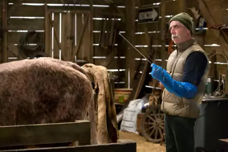 The Ranch - galeria zdjęć - filmweb