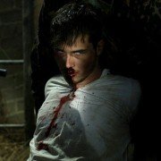 Dzik - galeria zdjęć - filmweb