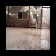 Anubumin - galeria zdjęć - filmweb