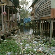 A River Below - galeria zdjęć - filmweb