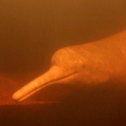A River Below - galeria zdjęć - filmweb