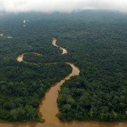A River Below - galeria zdjęć - filmweb